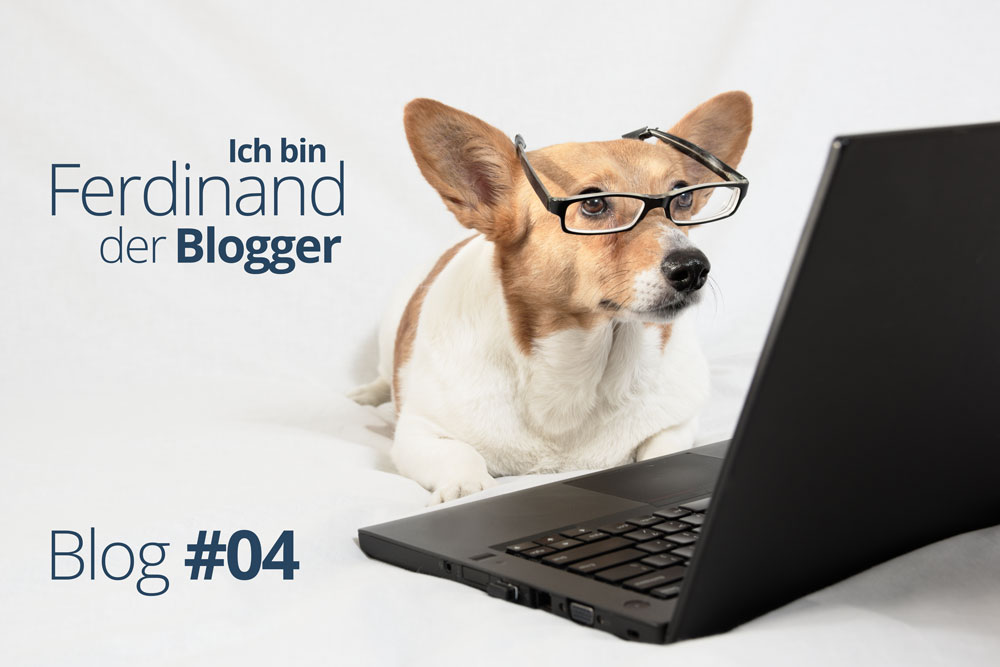 Ferdinand der Blogger – Ein Hund packt aus #04 – Kindheit